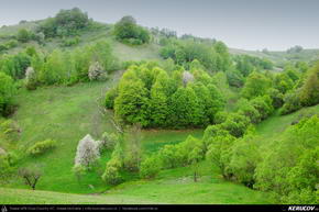 Trasee cu bicicleta MTB XC - Traseu MTB Rosia Montana - Mogos - Intregalde - Cheile Galdei - Teius de Andrei Vocurek