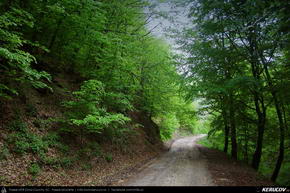 Trasee cu bicicleta MTB XC - Traseu MTB Rosia Montana - Mogos - Intregalde - Cheile Galdei - Teius de Andrei Vocurek