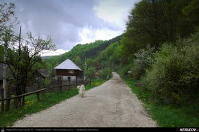 Trasee cu bicicleta MTB XC - Traseu MTB Rosia Montana - Mogos - Intregalde - Cheile Galdei - Teius de Andrei Vocurek