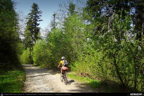 Trasee cu bicicleta MTB XC - Traseu MTB Rosia Montana - Taul Mare - Taul Corna - Taul Brazi de Andrei Vocurek