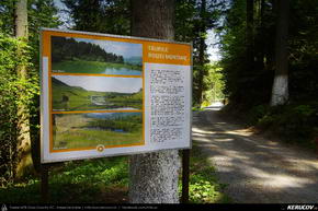 Trasee cu bicicleta MTB XC - Traseu MTB Rosia Montana - Taul Mare - Taul Corna - Taul Brazi de Andrei Vocurek