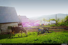 Trasee cu bicicleta MTB XC - Traseu MTB Rosia Montana - Taul Mare - Taul Corna - Taul Brazi de Andrei Vocurek
