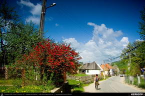 Trasee cu bicicleta MTB XC - Traseu MTB Rosia Montana - Taul Mare - Taul Corna - Taul Brazi de Andrei Vocurek