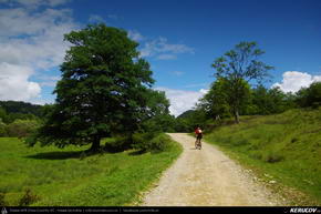 Trasee cu bicicleta MTB XC - Traseu MTB Rupea - Racos - Augustin - Maierus - Arini - Bod - Brasov de Andrei Vocurek