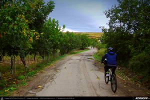 Trasee cu bicicleta MTB XC - Traseu MTB Sahateni - Naeni - Varf - Vispesti - Sahateni / Dealul Istrita de Andrei Vocurek