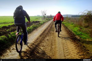 Trasee cu bicicleta MTB XC - Traseu MTB Sarulesti - Magureni - Vadu Anei - Cernica - Padurea Pantelimon de Andrei Vocurek