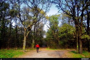Trasee cu bicicleta MTB XC - Traseu MTB Sarulesti - Magureni - Vadu Anei - Cernica - Padurea Pantelimon de Andrei Vocurek