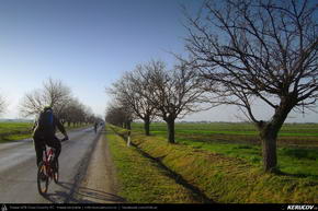 Trasee cu bicicleta MTB XC - Traseu MTB Targoviste - Zimbraria Neagra Bucsani - Ploiesti de Andrei Vocurek