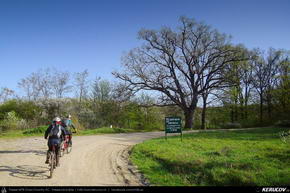 Trasee cu bicicleta MTB XC - Traseu MTB Targoviste - Zimbraria Neagra Bucsani - Ploiesti de Andrei Vocurek