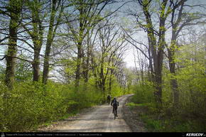 Trasee cu bicicleta MTB XC - Traseu MTB Targoviste - Zimbraria Neagra Bucsani - Ploiesti de Andrei Vocurek