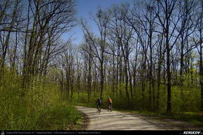 Trasee cu bicicleta MTB XC - Traseu MTB Targoviste - Zimbraria Neagra Bucsani - Ploiesti de Andrei Vocurek