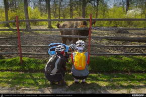 Trasee cu bicicleta MTB XC - Traseu MTB Targoviste - Zimbraria Neagra Bucsani - Ploiesti de Andrei Vocurek