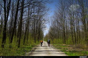 Trasee cu bicicleta MTB XC - Traseu MTB Targoviste - Zimbraria Neagra Bucsani - Ploiesti de Andrei Vocurek