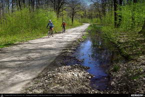 Trasee cu bicicleta MTB XC - Traseu MTB Targoviste - Zimbraria Neagra Bucsani - Ploiesti de Andrei Vocurek