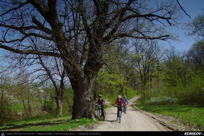 Trasee cu bicicleta MTB XC - Traseu MTB Targoviste - Zimbraria Neagra Bucsani - Ploiesti de Andrei Vocurek