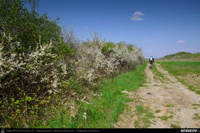 Trasee cu bicicleta MTB XC - Traseu MTB Targoviste - Zimbraria Neagra Bucsani - Ploiesti de Andrei Vocurek