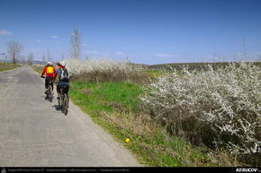 Trasee cu bicicleta MTB XC - Traseu MTB Targoviste - Zimbraria Neagra Bucsani - Ploiesti de Andrei Vocurek