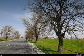 Trasee cu bicicleta MTB XC - Traseu MTB Targoviste - Zimbraria Neagra Bucsani - Ploiesti de Andrei Vocurek