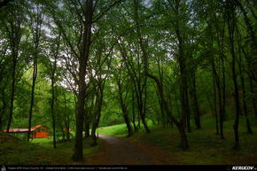 Trasee cu bicicleta MTB XC - Traseu MTB Campia Turzii - Turda - Baia de Aries - Rosia Montana (2 zile) de Andrei Vocurek
