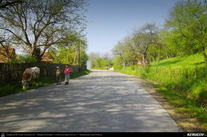 Trasee cu bicicleta MTB XC - Traseu MTB Campia Turzii - Turda - Baia de Aries - Rosia Montana (2 zile) de Andrei Vocurek