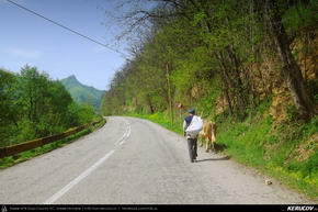 Trasee cu bicicleta MTB XC - Traseu MTB Campia Turzii - Turda - Baia de Aries - Rosia Montana (2 zile) de Andrei Vocurek