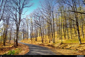 Trasee cu bicicleta MTB XC - Traseu MTB Ulmeni - Sarata-Monteoru - Leiculesti - Niscov - Vernesti - Merei de Andrei Vocurek
