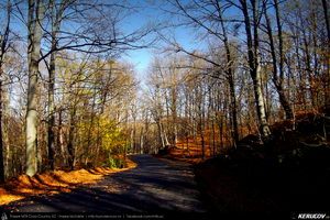 Trasee cu bicicleta MTB XC - Traseu MTB Ulmeni - Sarata-Monteoru - Leiculesti - Niscov - Vernesti - Merei de Andrei Vocurek