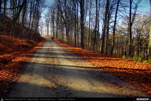 Trasee cu bicicleta MTB XC - Traseu MTB Ulmeni - Sarata-Monteoru - Leiculesti - Niscov - Vernesti - Merei de Andrei Vocurek