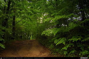 Trasee cu bicicleta MTB XC - Traseu MTB Coronini - Moldova Noua - Sasca Montana - Ilidia - Oravita (Banatul Montan - Muntii Locvei) de Andrei Vocurek