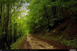 Trasee cu bicicleta MTB XC - Traseu MTB Coronini - Moldova Noua - Sasca Montana - Ilidia - Oravita (Banatul Montan - Muntii Locvei) de Andrei Vocurek