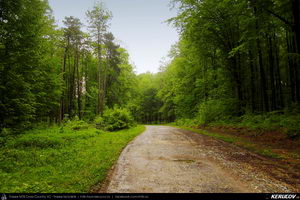 Trasee cu bicicleta MTB XC - Traseu MTB Coronini - Moldova Noua - Sasca Montana - Ilidia - Oravita (Banatul Montan - Muntii Locvei) de Andrei Vocurek