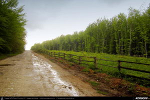 Trasee cu bicicleta MTB XC - Traseu MTB Coronini - Moldova Noua - Sasca Montana - Ilidia - Oravita (Banatul Montan - Muntii Locvei) de Andrei Vocurek