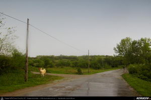 Trasee cu bicicleta MTB XC - Traseu MTB Coronini - Moldova Noua - Sasca Montana - Ilidia - Oravita (Banatul Montan - Muntii Locvei) de Andrei Vocurek