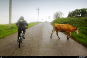 Trasee cu bicicleta MTB XC - Traseu MTB Coronini - Moldova Noua - Sasca Montana - Ilidia - Oravita (Banatul Montan - Muntii Locvei) de Andrei Vocurek