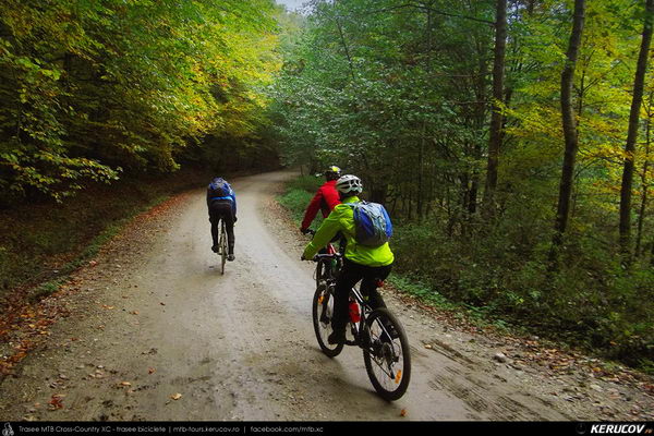 Traseu cu bicicleta MTB XC Baiculesti - Tutana - Bascovele - Ursoaia - Cotmeana - Babana - Pitesti - KERUCOV .ro © 2007 - 2025 || #traseecubicicleta #mtb #ssp