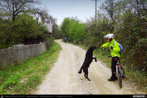 Trasee cu bicicleta MTB XC - Traseu MTB Baiculesti - Tutana - Bascovele - Ursoaia - Cotmeana - Babana - Pitesti de Andrei Vocurek