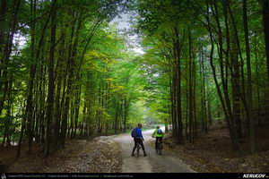 Trasee cu bicicleta MTB XC - Traseu MTB Baiculesti - Tutana - Bascovele - Ursoaia - Cotmeana - Babana - Pitesti de Andrei Vocurek