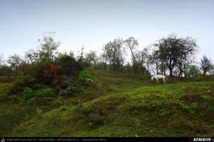 Trasee cu bicicleta MTB XC - Traseu MTB Baiculesti - Tutana - Bascovele - Ursoaia - Cotmeana - Babana - Pitesti de Andrei Vocurek