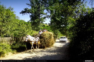 Trasee cu bicicleta MTB XC - Traseu MTB Calimanesti - Cabana Cozia - Berislavesti - Jiblea Veche - Pausa - Caciulata (Parcul National Cozia / Masivul Cozia) de Andrei Vocurek