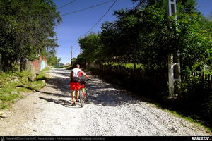 Trasee cu bicicleta MTB XC - Traseu MTB Calimanesti - Cabana Cozia - Berislavesti - Jiblea Veche - Pausa - Caciulata (Parcul National Cozia / Masivul Cozia) de Andrei Vocurek