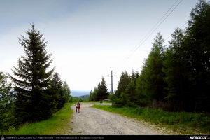 Trasee cu bicicleta MTB XC - Traseu MTB Calimanesti - Cabana Cozia - Berislavesti - Jiblea Veche - Pausa - Caciulata (Parcul National Cozia / Masivul Cozia) de Andrei Vocurek