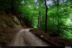 Trasee cu bicicleta MTB XC - Traseu MTB Calimanesti - Cabana Cozia - Berislavesti - Jiblea Veche - Pausa - Caciulata (Parcul National Cozia / Masivul Cozia) de Andrei Vocurek