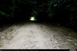 Trasee cu bicicleta MTB XC - Traseu MTB Calimanesti - Cabana Cozia - Berislavesti - Jiblea Veche - Pausa - Caciulata (Parcul National Cozia / Masivul Cozia) de Andrei Vocurek