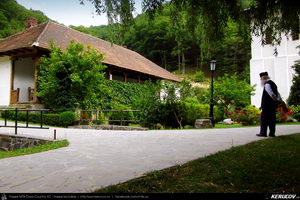 Trasee cu bicicleta MTB XC - Traseu MTB Calimanesti - Cabana Cozia - Berislavesti - Jiblea Veche - Pausa - Caciulata (Parcul National Cozia / Masivul Cozia) de Andrei Vocurek