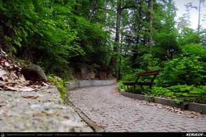 Trasee cu bicicleta MTB XC - Traseu MTB Calimanesti - Cabana Cozia - Berislavesti - Jiblea Veche - Pausa - Caciulata (Parcul National Cozia / Masivul Cozia) de Andrei Vocurek