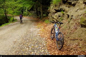 Trasee cu bicicleta MTB XC - Traseu MTB Caciulata - Valea Pausa - Manastirea Stanisoara - Manastirea Turnu - Calimanesti (Parcul National Cozia) de Andrei Vocurek