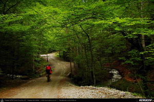 Trasee cu bicicleta MTB XC - Traseu MTB Caciulata - Valea Pausa - Manastirea Stanisoara - Manastirea Turnu - Calimanesti (Parcul National Cozia) de Andrei Vocurek