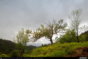 Trasee cu bicicleta MTB XC - Traseu MTB Caciulata - Valea Pausa - Manastirea Stanisoara - Manastirea Turnu - Calimanesti (Parcul National Cozia) de Andrei Vocurek