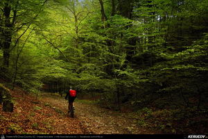 Trasee cu bicicleta MTB XC - Traseu MTB Caciulata - Valea Pausa - Manastirea Stanisoara - Manastirea Turnu - Calimanesti (Parcul National Cozia) de Andrei Vocurek