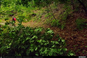 Trasee cu bicicleta MTB XC - Traseu MTB Caciulata - Valea Pausa - Manastirea Stanisoara - Manastirea Turnu - Calimanesti (Parcul National Cozia) de Andrei Vocurek